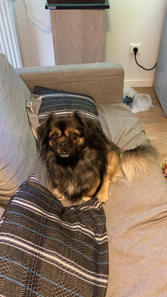 Pratiques corporelles 362d68f9 4c31 44bc 8123 8e5d5da1af78